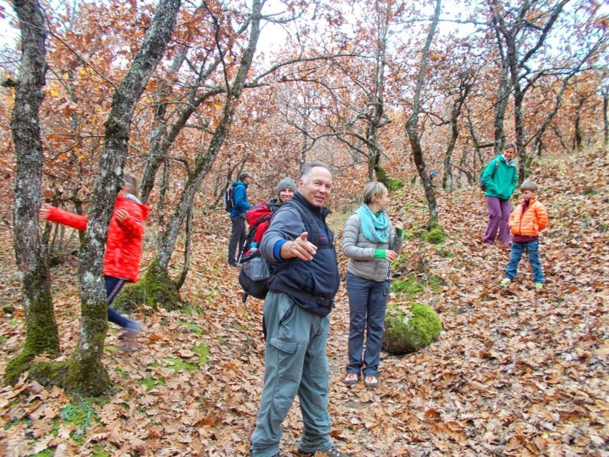 From Kalabaka: Authentic Meteora Hiking Tour - Local Agency - Pickup and VIP minibus logistics: comfort on narrow roads