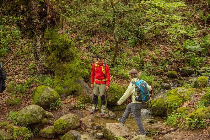 Meteora Small Group Hiking tour with Transfer and Monastery Visit - Dress code and packing tips that prevent last-minute stress