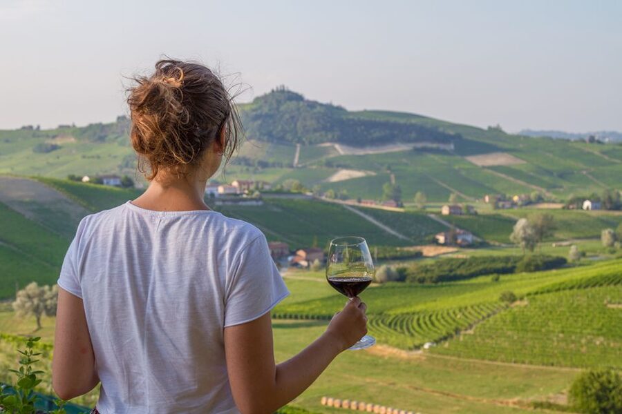 Nafplion: Nemea Vineyards Wine Tour - Key highlights worth planning for