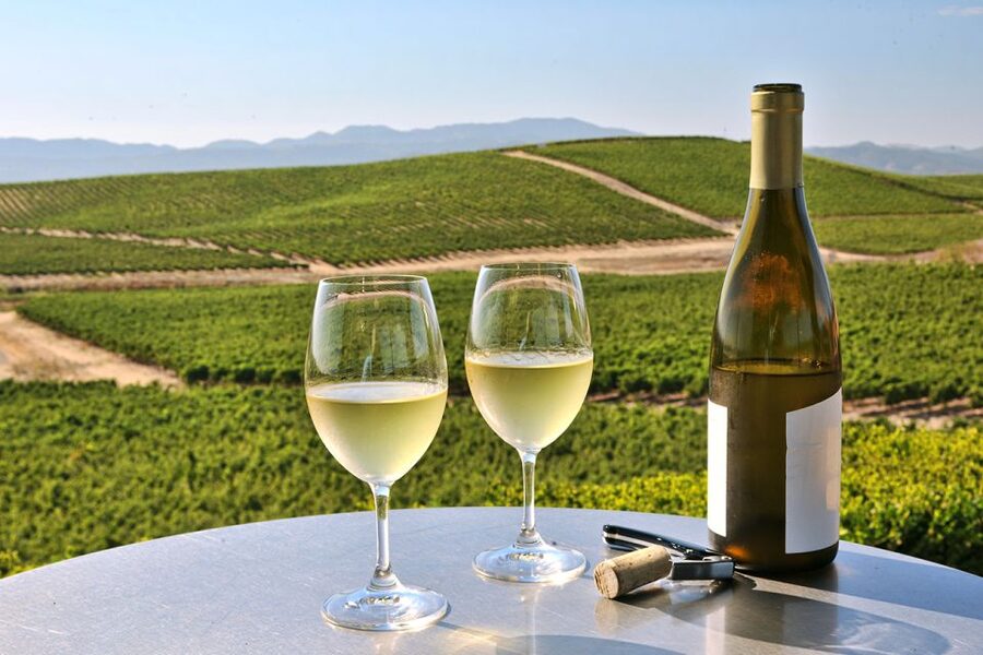 Nafplion: Nemea Vineyards Wine Tour - Comfort, Timing, and a Small Group That Works