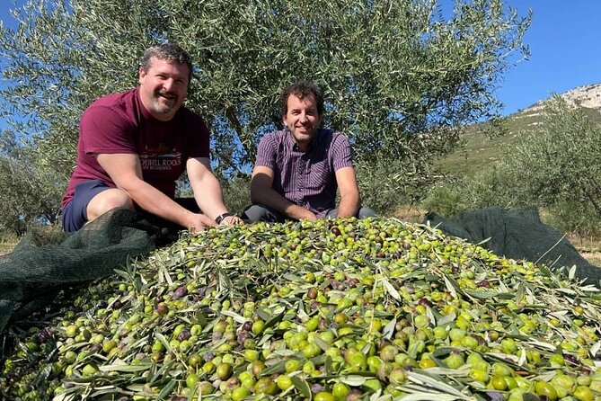 Olive Oil Tour & Tasting with sommelier -Kalentzi, Athens daytrip - Practical logistics that affect your experience