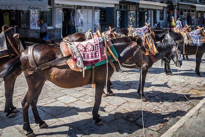 One Day Cruise to Hydra, Poros and Aegina from Athens - Timing That Matters: The 7:00 AM Embarkation Window and the Long Sea Day