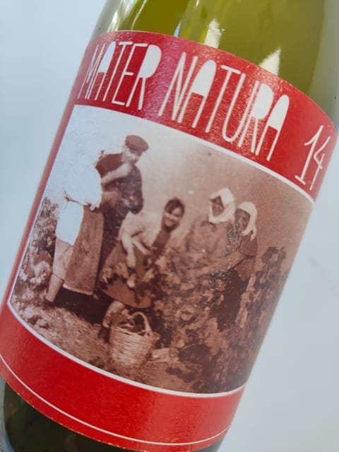 Orange & Natural Wines Of Greece with Cheese & Olive Oils - Key Highlights You’ll Actually Care About