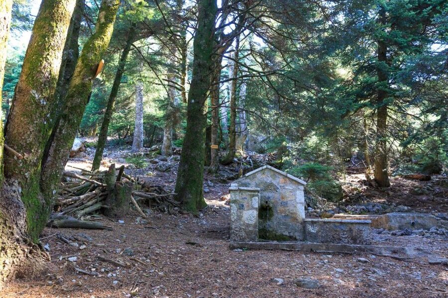 Parnitha (Parnis) / Skipiza & Mola loop - Hike near Athens - Why Parnis feels like a real nature break from Athens