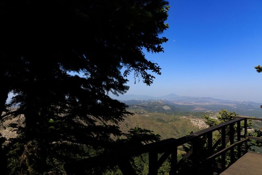 Parnitha (Parnis) / Skipiza & Mola loop - Hike near Athens - Practical tips to make the day smooth