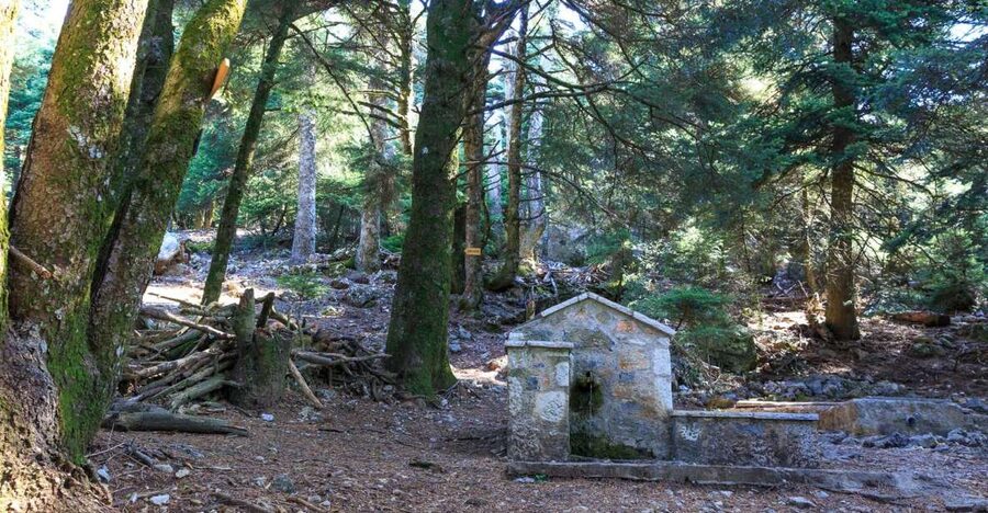Parnitha (Parnis) / Skipiza & Mola loop - Hike near Athens - The Skipiza and Mola loop, stop by stop