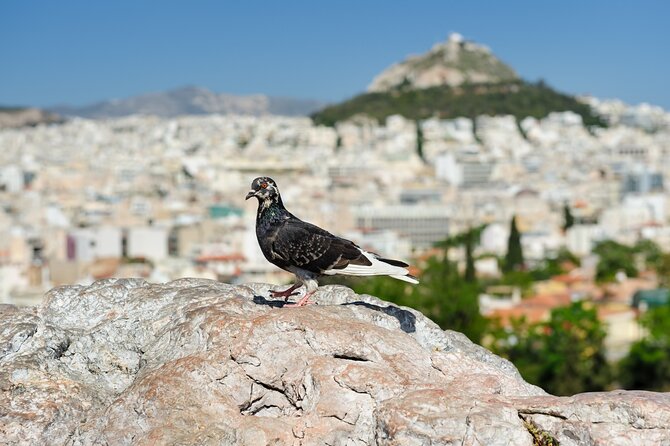 Private Luxury Biblical Tour: Apostle Paul in Athens & Corinth - Following Paul Through Athens, Not Just Around Athens