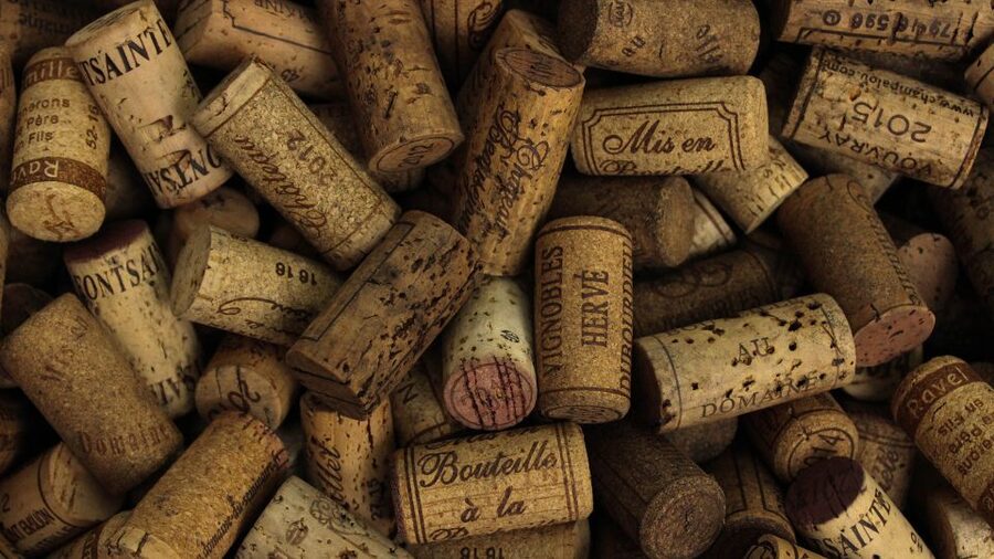 Private Wine Tasting Experience in Athens - Athens Wine Bar Bites, Not Just Token Snacks