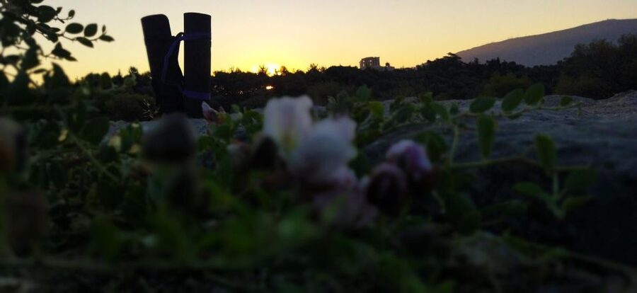 Sunrise Yoga & Meditation Acropolis & 360 view - After the session: how to keep the day moving (without losing the calm)