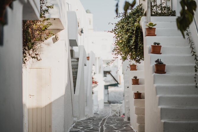 The Ultimate 11-Day Island Tour, Paros, Naxos, Mykonos, Santorini - Athens day 1, then right onto the sea life