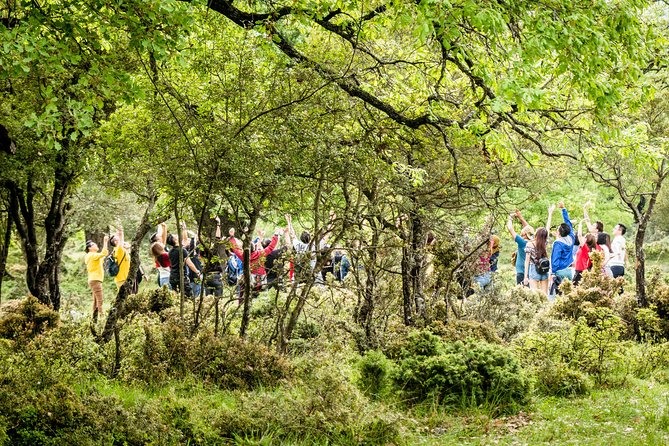 Truffle Hunting at Meteora - Private pacing, group size, and what “mobile ticket” means for you