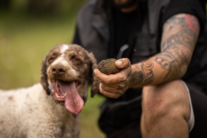Truffle Hunting at Meteora - The truffle hunt itself: walking with the trainer and specially trained dogs
